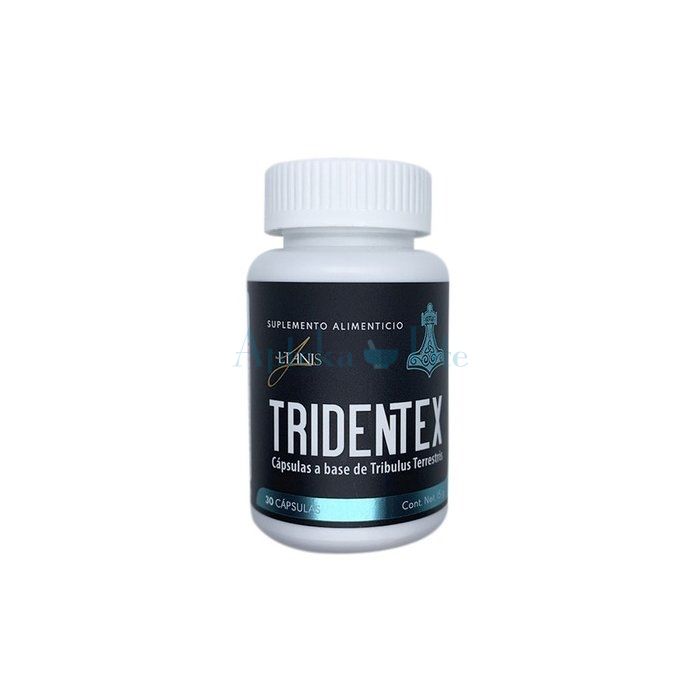 ➺ Tridentex ➺ cápsulas para la prostatitis