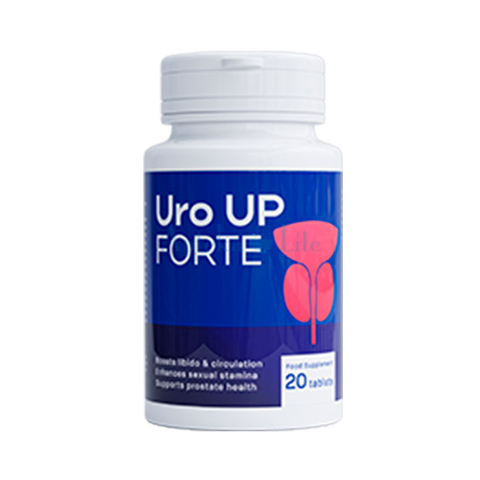 ➺ Uro Up Forte ➺ producto para la salud de la próstata